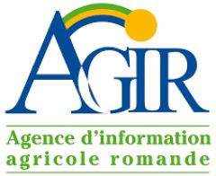 Logo-